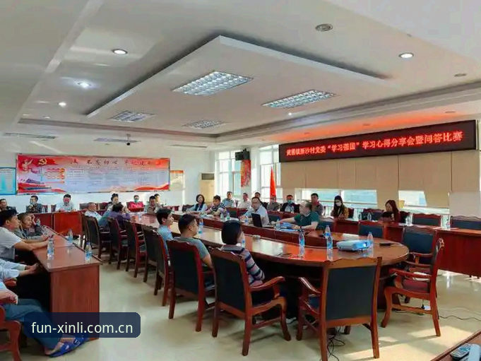 资深用户分享：新利体育平台官方版使用心得与实战经验